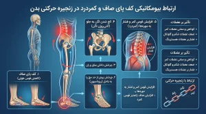 ارتباط بیومکانیکی کف پای صاف و کمردرد در زنجیره حرکتی بدن