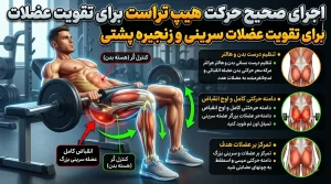 اجرای حرکت هیپ تراست برای تقویت زنجیره پشتی و عضلات سرینی