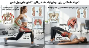 تمرین اصلاحی کشش لانج و پل باسن برای درمان تیلت قدامی