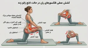 کشش عمقی فلکسورهای ران در حالت لانج زانو زده