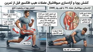 کشش پویا و آزادسازی میوفاشیال عضلات هیپ فلکسور قبل از تمرین